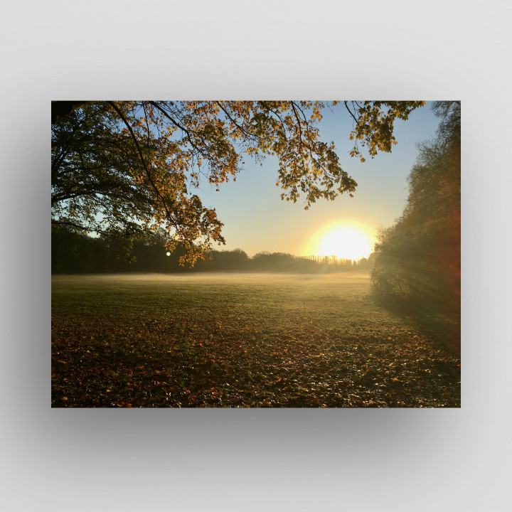 sky and light berlin 4 thumb