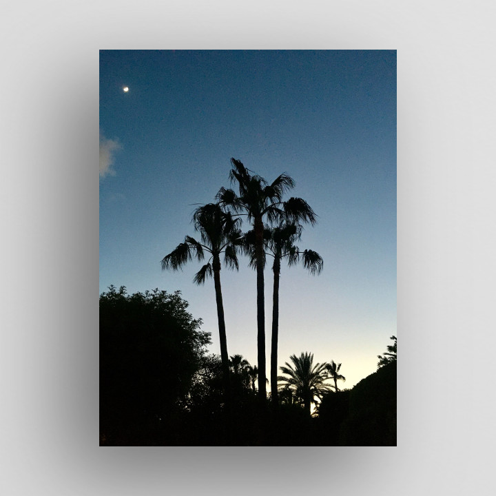 sky and light estepona 3 thumb