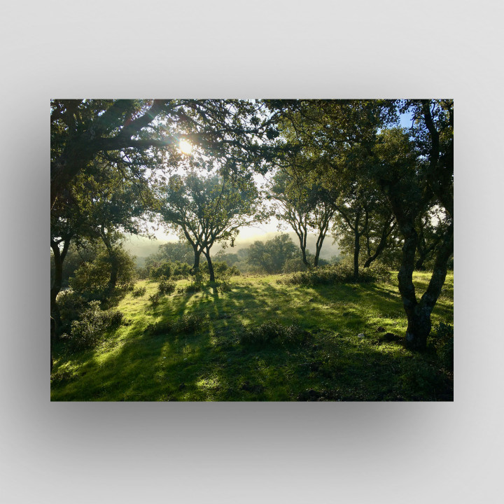 sky and light madrid 2 thumb